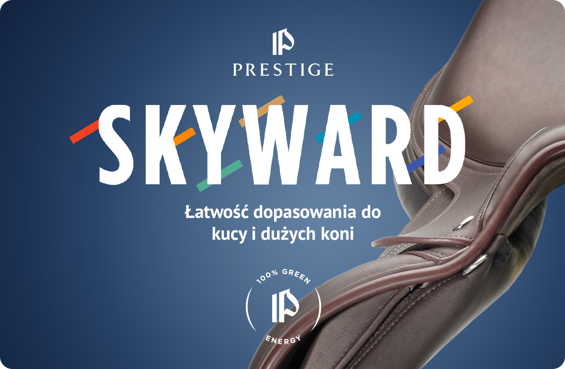 Landing-Page-Skyward-AI-v7